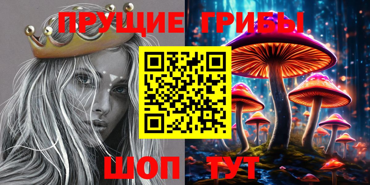 Галлюциногенные грибы Psilocybe Балтийск