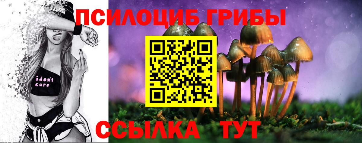Псилоцибиновые грибы Psilocybe  Вход с VPN  Балтийск 